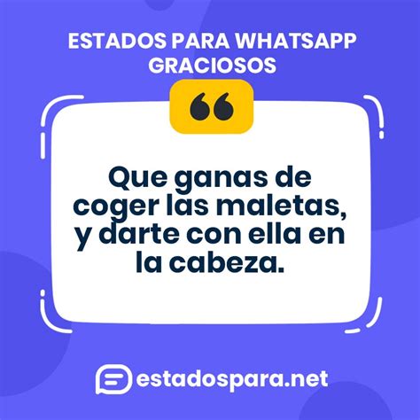 chistes para estados de whatsapp|Mejores Frases divertidas para estados de WhatsApp